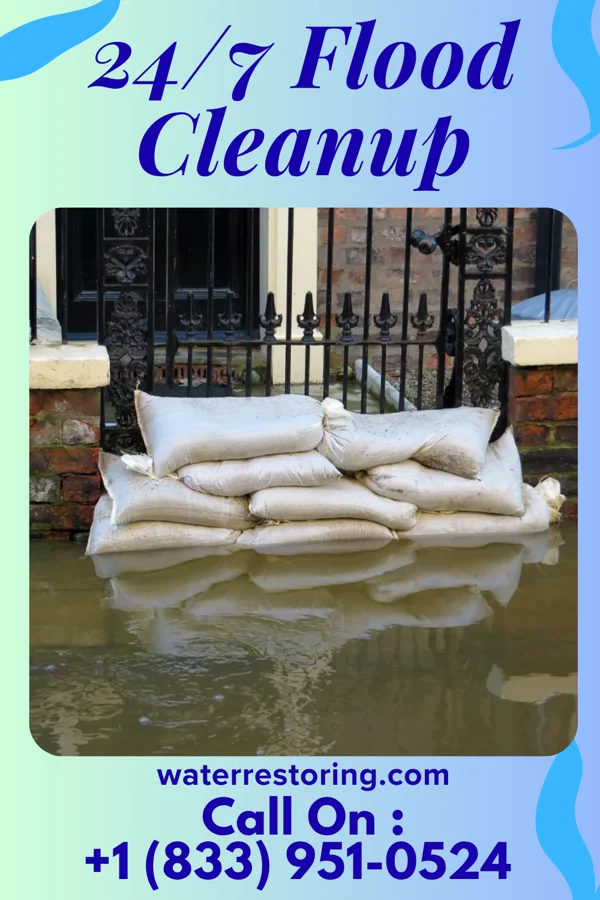 24/7 Flood Cleanup in Leroy, TX
