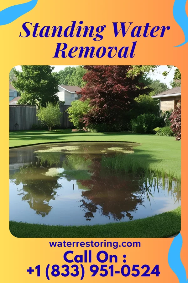 Standing Water Removal in Leroy, TX